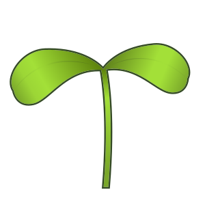 Planta