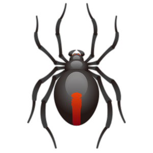 Spindel