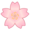 Körsbärsblomma