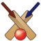 Cricket