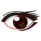 Öga
