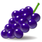 Vindruvor