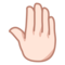 Höjd handrygg: Ljus Hudton