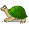 Sköldpadda