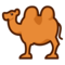 Kamel