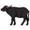 Vattenbuffel