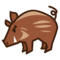 Boar