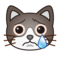 Crying Cat