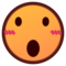 Face with Open Mouth