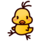Front-Facing Baby Chick