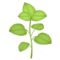 Herb