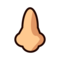 Nose: Medium-Light Skin Tone