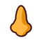Nose