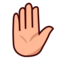 Raised Hand: Medium-Light Skin Tone