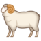Ram