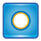 Record Button