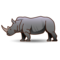 Rhinoceros
