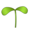 Seedling