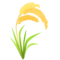 Sheaf of Rice