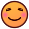 Smiling Face