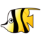 Tropical Fish