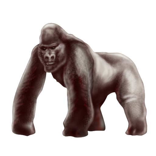 Gorilla