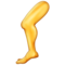 Leg