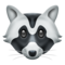 Raccoon