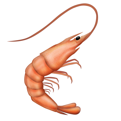 Shrimp