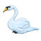 Swan