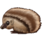 Ježek