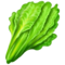 Listová zelenina