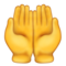 Obě dlaně nahoru