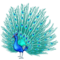 Páv