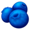 ブルーベリー
