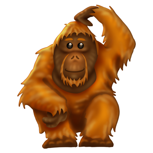 オランウータン