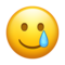 嬉し涙の顔