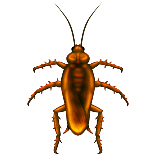 Karaluch