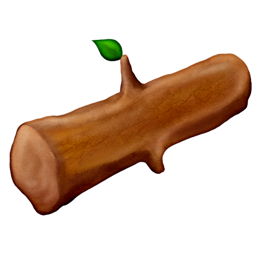 Drewno