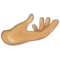 Palm Up Hand: Medium-Light Skin Tone