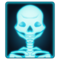 X-Ray