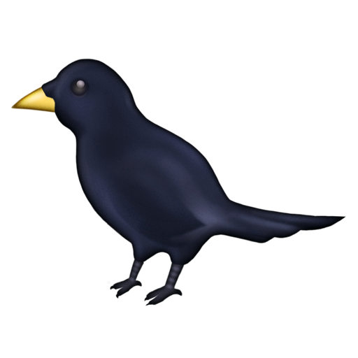 Black Bird
