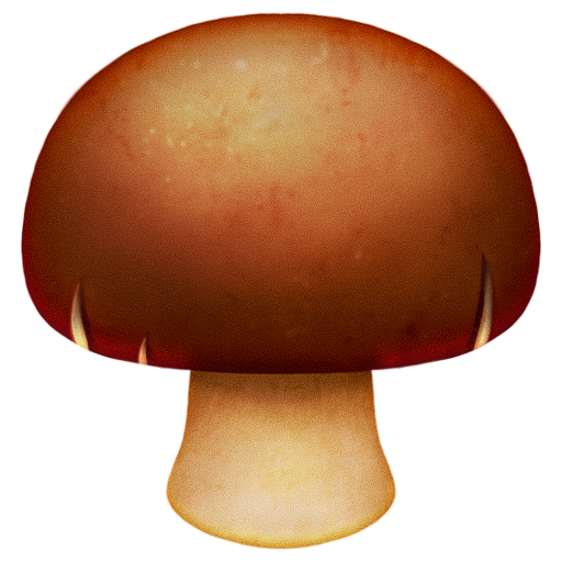 Brown Mushroom