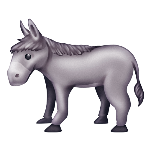 Donkey