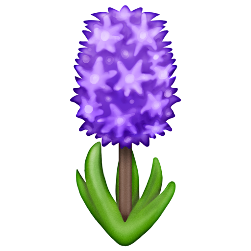 Hyacinth