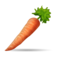 Carrot