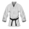 Martial Arts Uniform