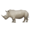 Rhinoceros