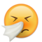 Sneezing Face