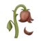 Wilted Flower